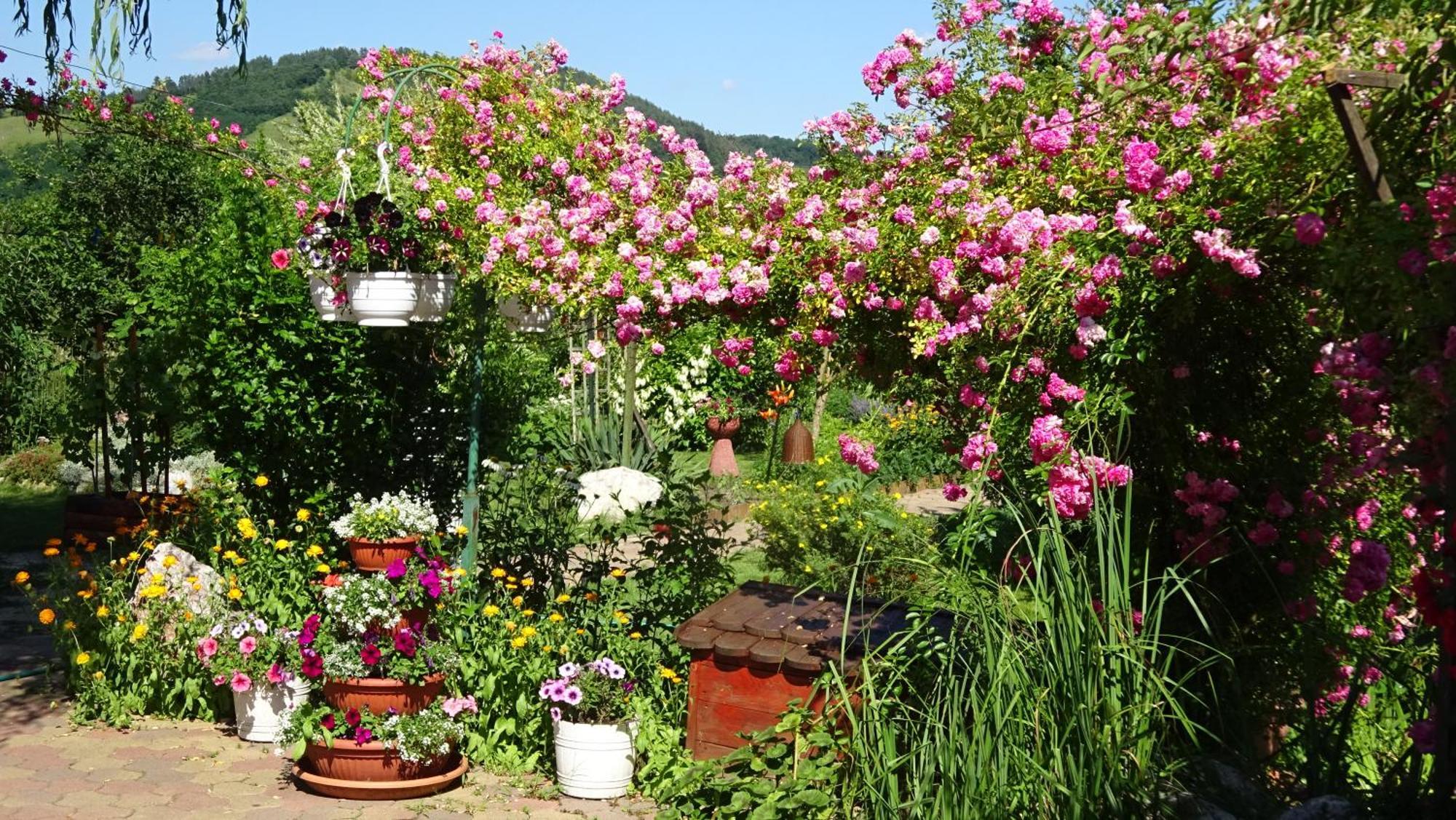 Holiday Vendeghaz Es Szabadidokert Jardanhaza Buitenkant foto